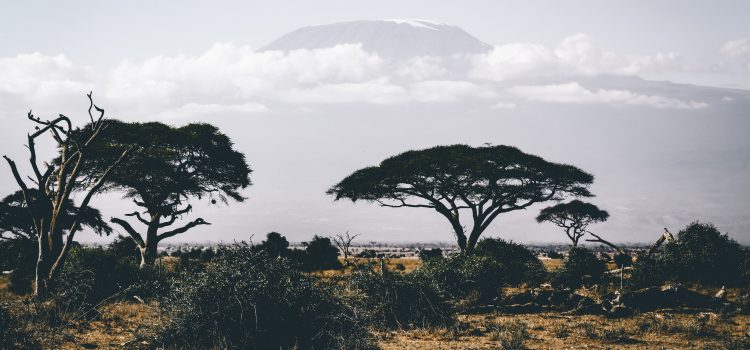 Los mejores lugares para visitar en África